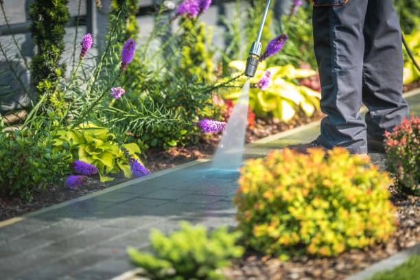 Best Boat and Dock Cleaning  in St James, MN