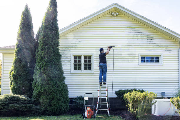 Best Sidewalk and Walkway Cleaning  in St James, MN